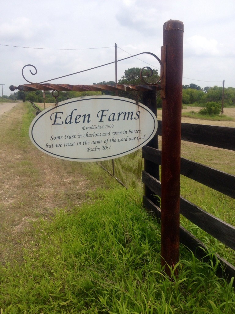 Remembering our restful summer at Eden Farms!