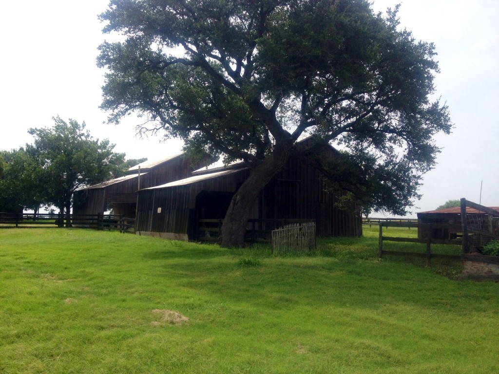 Farm-Old barns