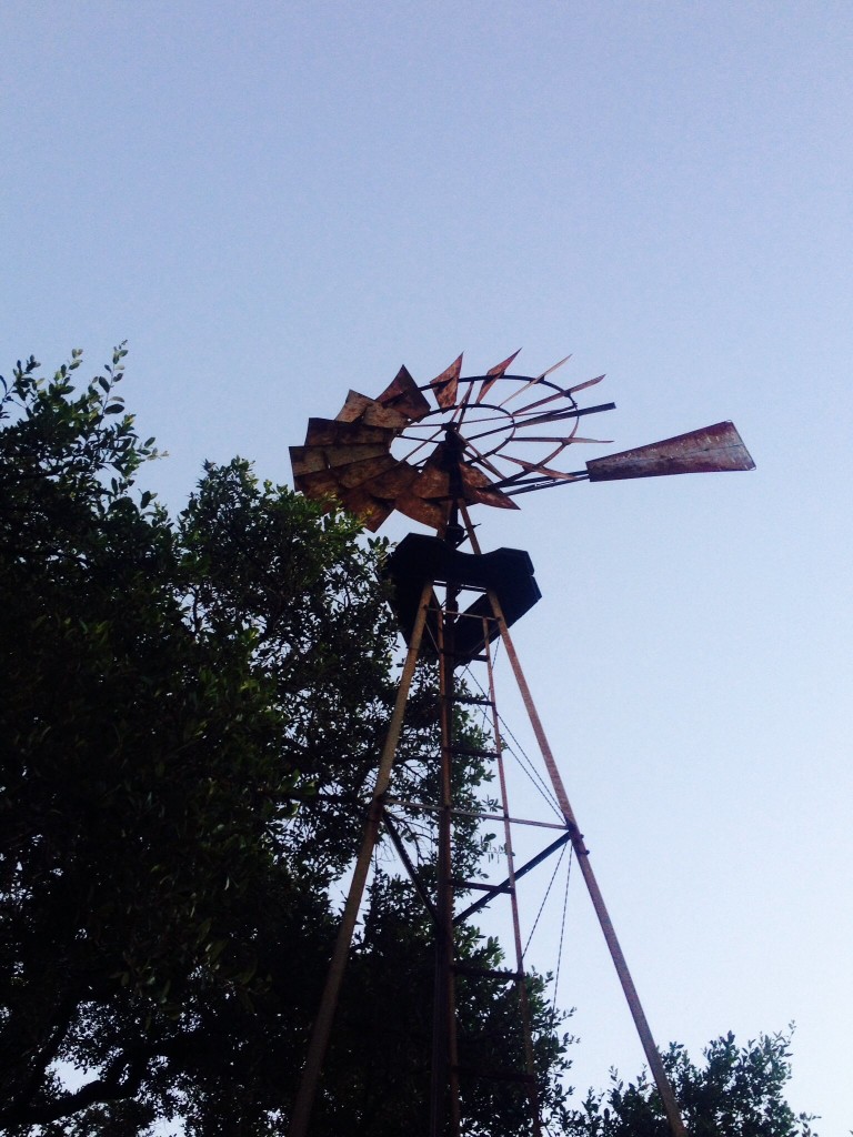 Farm-TX windmill