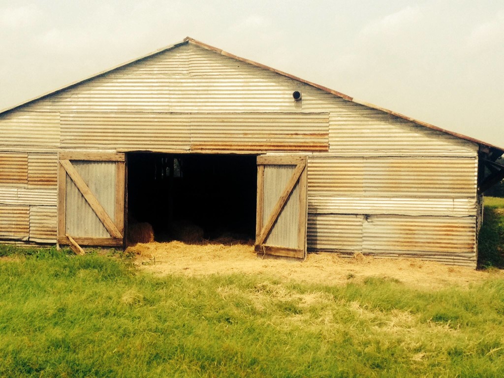 Farm-big barn