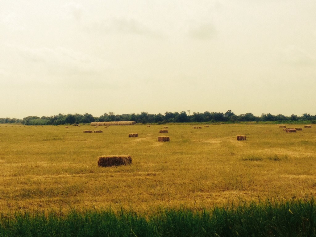 Farm-haybales