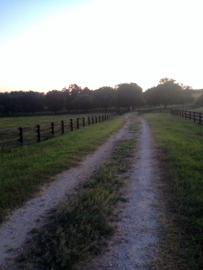 Farm-road